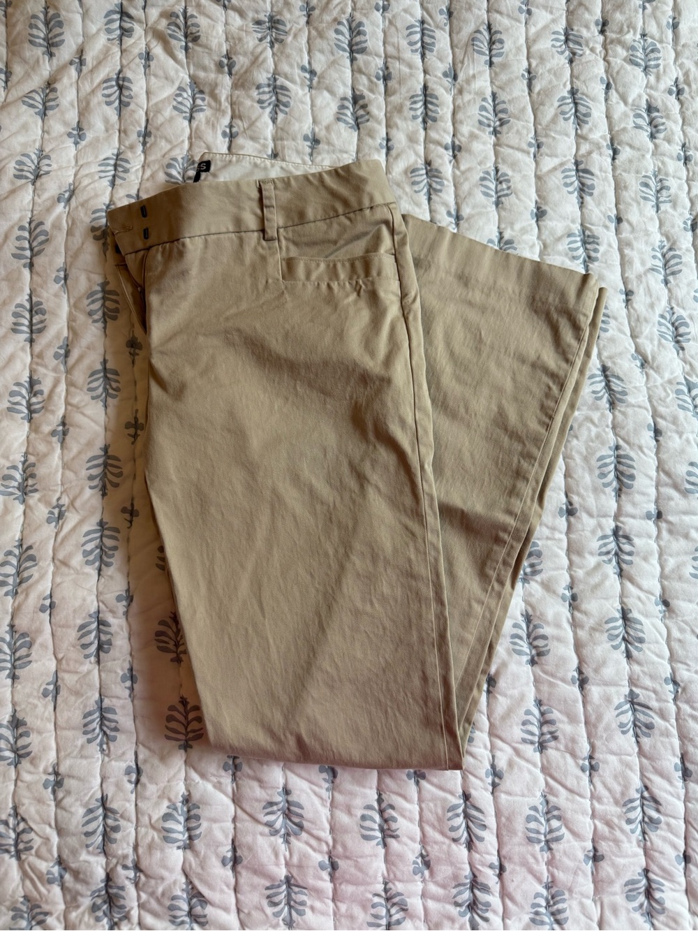 Express Columnist Pants
